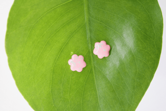 Willow mini stud earrings 