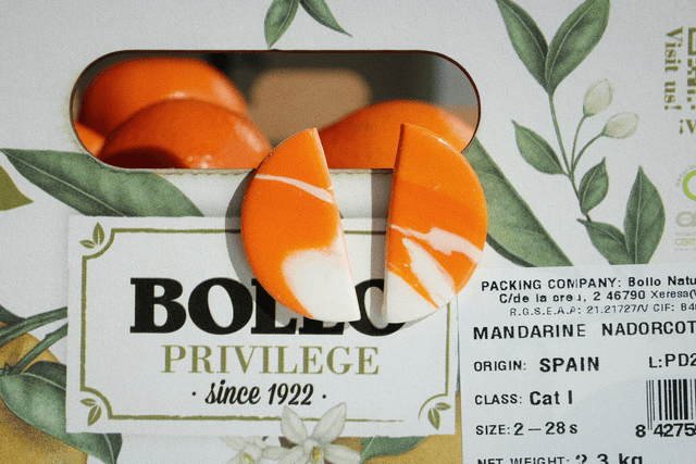 Seville earrings 